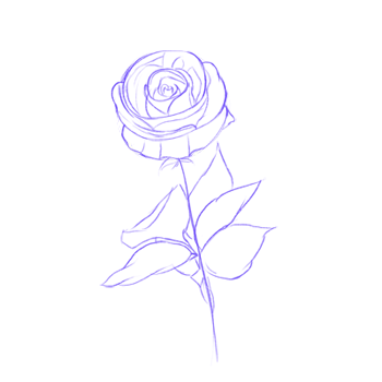 How To Draw A Rose Step By Step For Beginners
