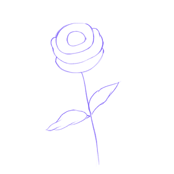 How To Draw A Rose Step By Step For Beginners