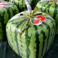 Cubed Watermelons Japan